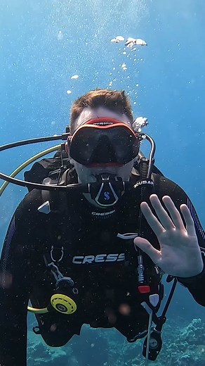 Exploring Marine Life in Kona, Hawaii