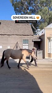 1.2M views · 9.9K reactions | Uncover the charm of Victoria's gold rush era with a visit to Sovereign Hill, a must-do activity in Ballarat, Victoria! ⛏️✨ 殺Took a trip back to 1850s, Sovereign Hill offers a truly amazing experience to spend a day exploring gold rush history and atmosphere ✨ ️: whereiskapa #sovereignhill #australia #aussielife #ballarat #seeaustralia #adventure | Aussie Life | Facebook