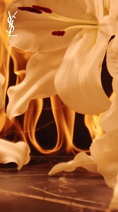 1.6K views · 83 reactions | Shop NEW YSL Libre Flowers & Flames, the iconic Libre scent with a sultry floral blast. | YSL Beauty | Facebook