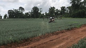 🌿🌿 DRONE FUMIGADOR 🌿🌿 💵💵 PRECIO ESPECIAL PARA TODA LATIN AMERICA 🌎 🌎 DISTRIBUIDOR AUTORIZADO DJI AGRAS MG-1S 🏁🏁 SOPORTE TECNICO Y ENTRENAMIENTO 🔧🔧 PARA MAS INFORMACION 📞 WHATSAPP 17862296330 ✉ SALES@SCORPIONDRONES.COM | ScorpionDrones