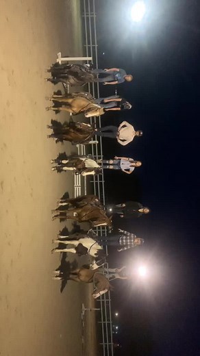 Out barn family decided to try this trend! How’d we do? #stoneyoaksranch #quarterhorse #paint #ottb #barnfamily #horses