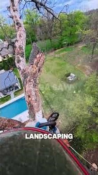 $700 For 1 Minute Of Pure Risk? 😱🌲