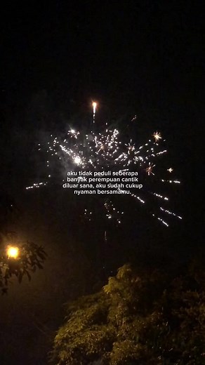 Stunning Fireworks Display in Night Sky