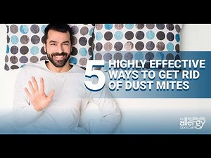 5 Highly Effective Ways to Get Rid of Dust Mites