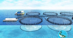A breath of fresh air: how nanobubbles can make aquaculture more sustainable