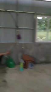 Metal Cladding house size, temperature, materials and total costs reveal. Ctto @jose #metalcaldding #house #fyp #trendingvideo #trendingpost #makeitviral #trendingnow #viralpost2025シ #fypreelsシ゚viralシ #fypviralシ #houseupdate | カストロ メートル ライアン