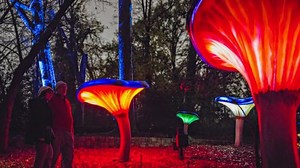 Wildwoods Aglow Exhibit at Fernbank Museum