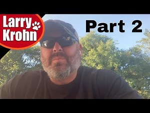 The power of proper e collar work part 2 / corrections, punishment, and OUT command