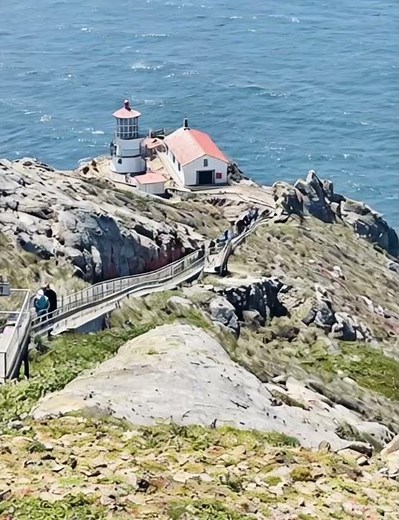 Point Reyes National Seashore | Stunning Coastal Beauty of California