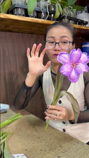 Hô Biến Tulip Trắng Thành Tulip Đủ Màu-P1