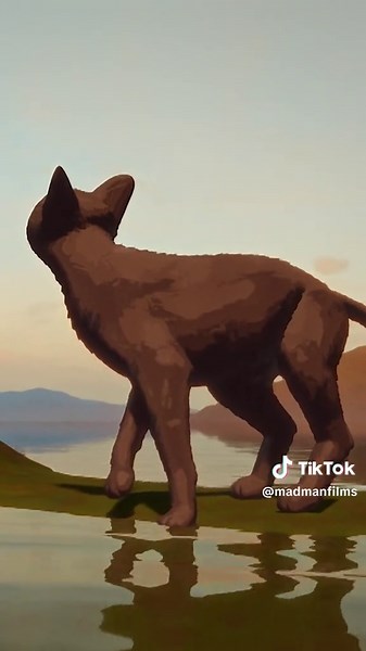 Madman Films on TikTok