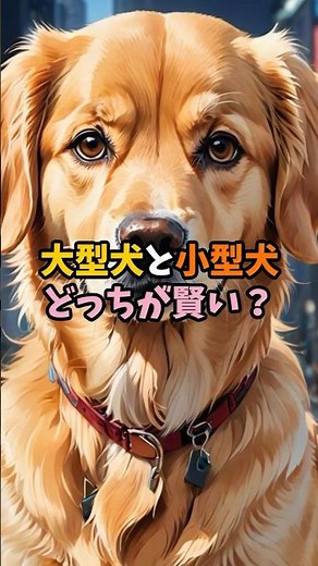 大型犬vs小型犬、本当に賢いのはどっち #犬 #ペット #雑学