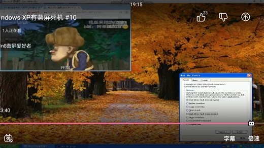 Windows XP有蓝屏死机(1.0丨0.5) 5