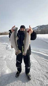 😍🔥 🎣 #food #fishing #top #usa #shorts #cooking