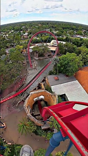 Sheikra at Busch Gardens Tampa