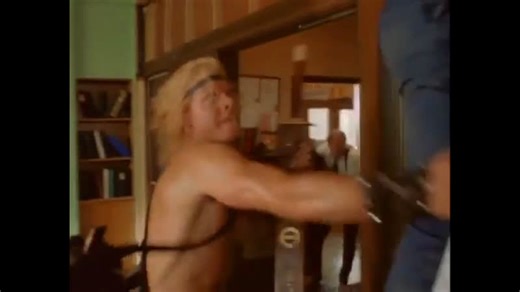 The Beastmaster 2 Through the Portal of Time (1991)