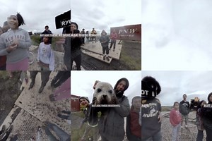 Welcome to the real North Pole, where freakishly warm temperatures are wreaking havoc on the entire ecosystem. | RYOT