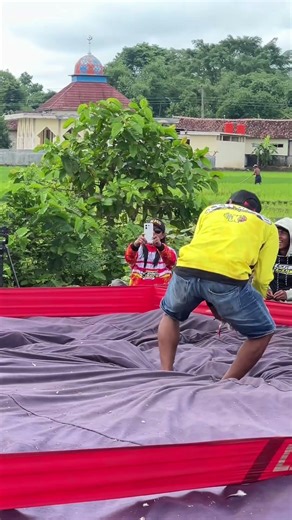 TIGERWOOD KENA BADAN‼️😳 #merpatikolong #merpati #merpatiku