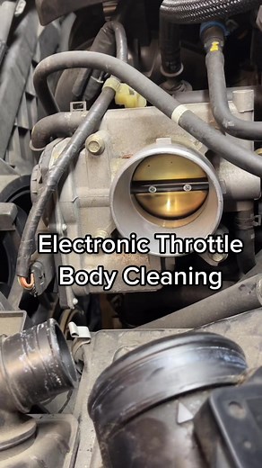 TikTok - Make Your Day