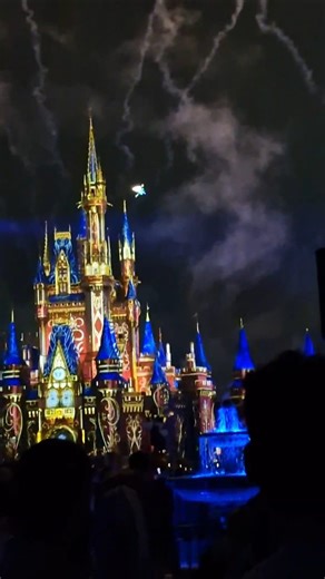 Seeing Tinkerbell fly during Happily Ever After fireworks will make me cry every single time!