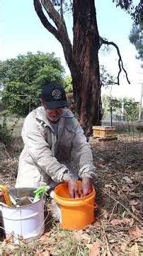 Beginner Beekeeping: Beehive Biosecurity: Clean Tools the Right Way