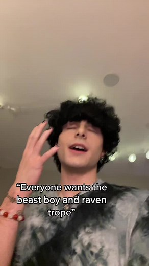 Beast Boy and Raven vs. Starfire and Robin: Which One Do You Prefer?