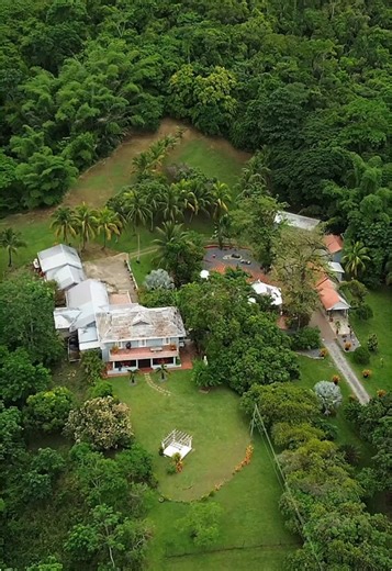 Capture Beautiful Caribbean Weddings