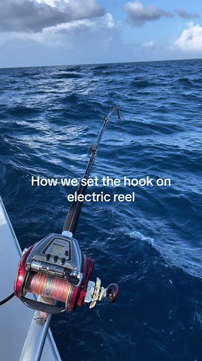 Tile fishing in 1200’ #offshore #fyp #fishtok #offshorelife #tilefish #tunafishing #fishing #catching #fisherman #yellowedgegrouper #deepdrop #deepdropfishing