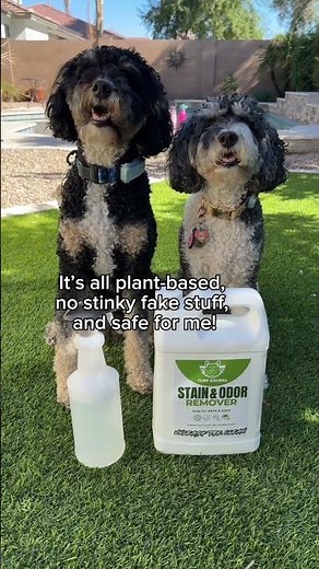 The #1 artificial turf deodorizer made for pets and people who love their outdoor space.