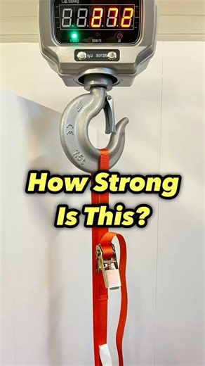 Can a $5 Strap REALLY Hold 500kg?