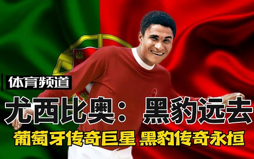 尤西比奥-黑豹远去 葡萄牙的足球皇帝，欧洲贝利一人一城的传奇生涯