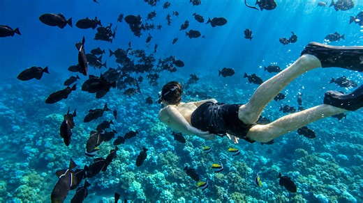 Paradise spots in Hawaii you must see