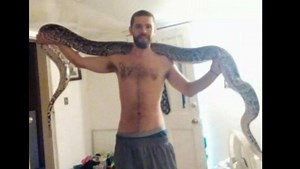 Answer Man: Readers want to know if that 20-foot python is still on the loose