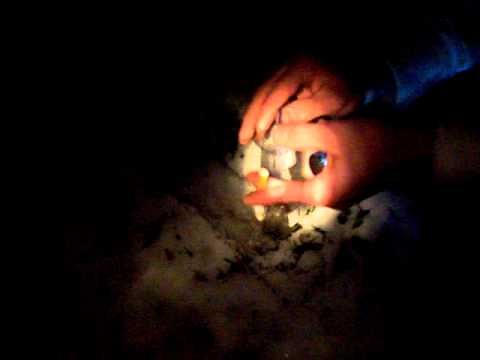 Pest Control Report 2000