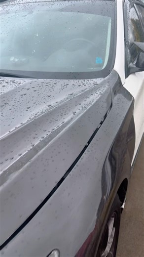 Ceramic Coating Water Beading Test On My Car !!!