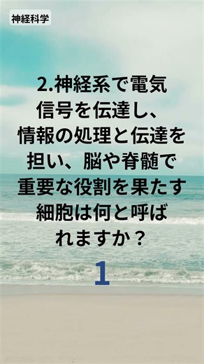 1分で脳が魅力的になる - 1分でわかる一般常識クイズ(861)