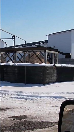How Amish Sawmills Actually Work #amish #woodworking #sawmill