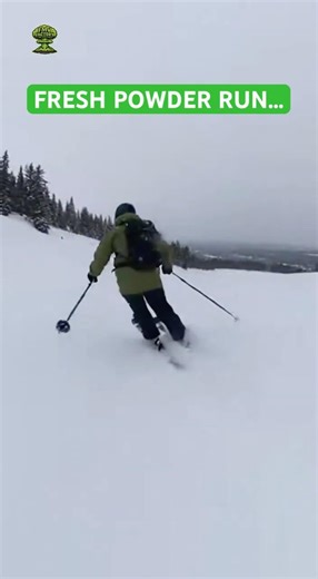 FROM THE BACK COUNTRY...TO THE BACKROOMS... #backrooms #liminalspace #analoghorror #skiing #fmv