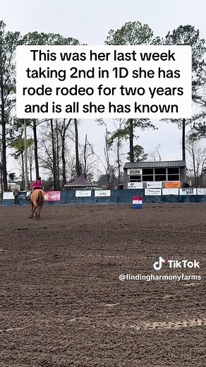 Comparing Western and English Riding Techniques