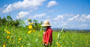 Brazil Annual Report 2021