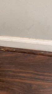 🙋‍♀️Mom Hack: Easily Clean Baseboards!💪 What’s your least favorite chore? ⤵️ 🧹Mine has to be cleaning baseboards! But with this simple trick, it’s much easier! 🏠Grab a sock from your mismatched pile, fill a bowl with warm soapy water! Dip the sock in and wipe away dirt and dust!! 🧦🧦 #momlife #momblogger #momhacks #momhack #motherhood #momma #momreels #cleaning #cleaningtips #cleaningroutine #cleaningreels #cleaninghacks #cleanhome #cleanhouse #parenting #kidschores #toddlerchores #cleaning