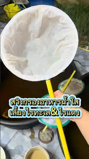 Fine-mesh filter net for clear water, keeping brine shrimp & daphnia 🗑️ #brineshrimp #net #daphni...