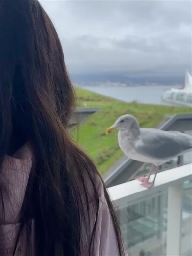 22K views · 272 reactions | Sarah Baeumler on Reels | Facebook