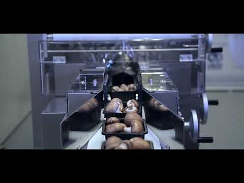 Omori Europe - Stretchwrapper STN 8500