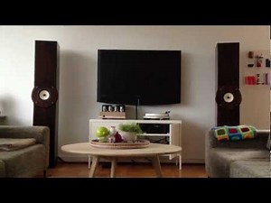 Fostex FE166En with planet10 phase plugs in BIB