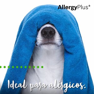 24K views | ¡Chao alergias! Nuestra Lavadora Inox WAT2846XES cuenta con la tecnología AllergyPlus* diseñada especialmente para cuidar la salud de las personas que sufren alergias ¡Menos gérmenes y bacterias! *Certificado por el Centro Europeo de Investigación de Alergias (ECARF) | Bosch Home | Facebook