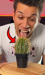 3M views · 30K reactions | Can You Guess These Correctly!? | PrestonPlayz | Facebook