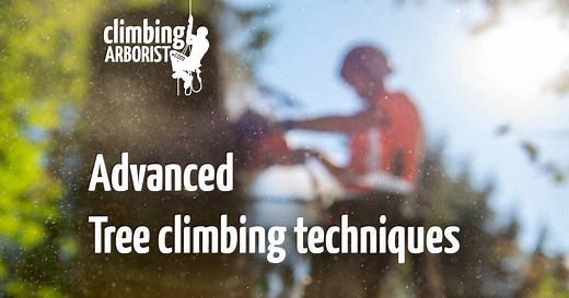 Advanced climbing techniques : ClimbingArborist.com