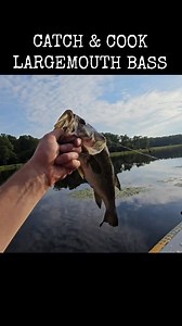 381K views · 8.3K reactions | Catching Largemouth Bass and Crappie for my camp dinner #catchandcook #fishing #selfreliance #survival #reels | WoodsBound Outdoors | Facebook