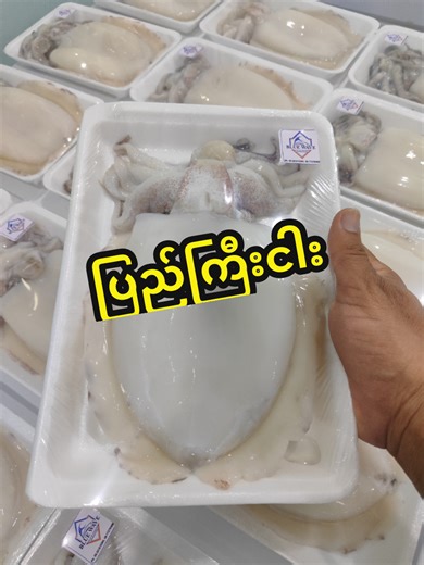 Blue Wave seafood & commodity distribution #တောင်ကြီး #seafood #ပင်လယ်စာအစုံ #စားမယ်ဝါးမယ် #syp